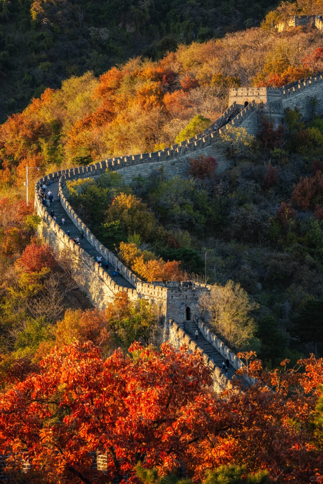The Great Wall (Badaling)