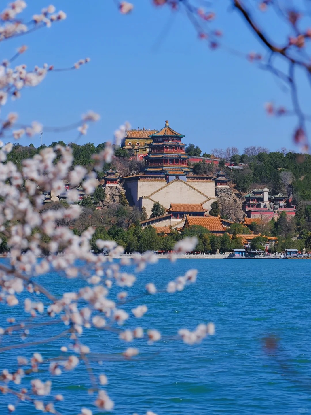 The Summer Palace